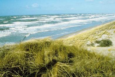Nordseestrand mit Dünen, Juni 1999