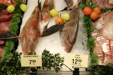 Frischer Fisch im Supermarkt von Neuseeland, März 2009