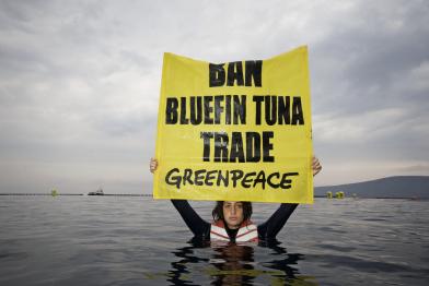Greenpeace-Aktion gegen Thunfischfarmen vor der türkischen Küste, November 2009