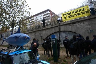 Greenpeace-Aktivisten in Frankreich warnen vor der Ausrottung des Roten Thunfischs, November 2010.