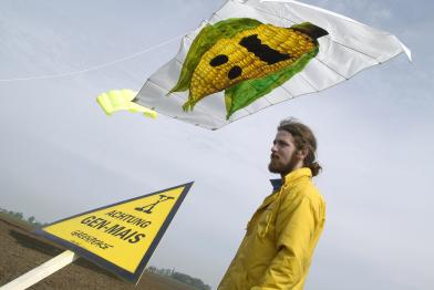 Aktion gegen Genmais, Mai 2005