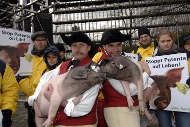 Patentierung von Schweinen: Mit Ferkel auf dem Arm fordern Greenpeace-Aktivisten und die Bäuerliche Erzeugergemeinschaft Schwäbisch Hall die Mitarbeiter des EPA auf, die Patentanträge abzulehnen. 2005
