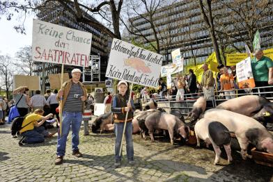 Gegen Patente auf Tiere und Pflanzen demonstrieren im Mai 2009 über tausend Bauern gemeinsam mit Umwelt- und Entwicklungsorganisationen in München.