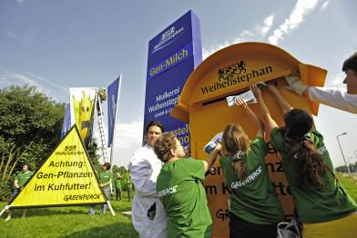 Greenpeace-Aktivisten betonieren einen zweieinhalb Meter hohen Briefkasten mit rund 10.000 Protestbriefen von Verbrauchern vor der Zentrale der Molkerei Weihenstephan in Freising ein. Auf dem Firmenschild steht nun "Gen-Milch Molkerei Weihenstephan". Juli
