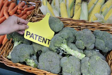 Brokkoli mit Patentmarkierung
