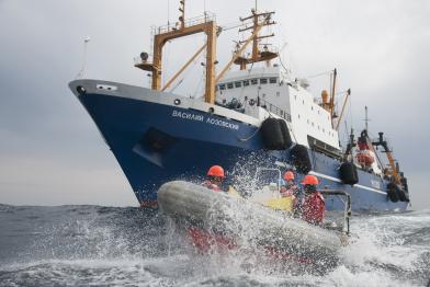 Greenpeace-Aktivisten protestieren gegen den russischen Fischtrawler "Vasili Lozovski", Februar 2012