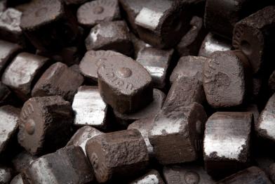 Braunkohle, Braunkohle Aktion Parteitag "Die Linke", Februar 2012