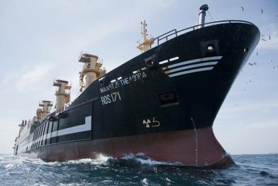 Der deutsche Supertrawler "Maartje Theadora" fischt vor der mauretanischen Küste