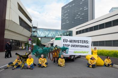 Greenpeace-Aktivisten protestieren vor dem EU-Fischereiministerium in Luxemburg, Dezember 2012