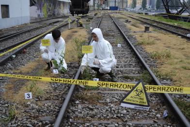 Greenpeace-Aktivisten sammeln gentechnisch veränderten Raps in Basel, 2012.
