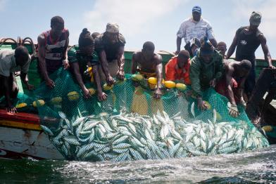 Senegalesische Fischer in ihrem traditionellen Boot, der Piroge. Kafountine, Casamance, Juli 2012.