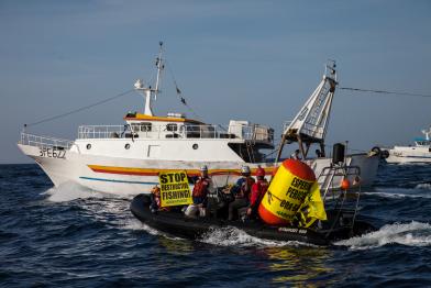 Greenpeace-Aktivisten demonstrieren für eine nachhaltige Fischerei 