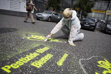 Gruppenaktionstag: Protest gegen Pestizide vor Baumärkten, hier Max Bahr), Juni 2013