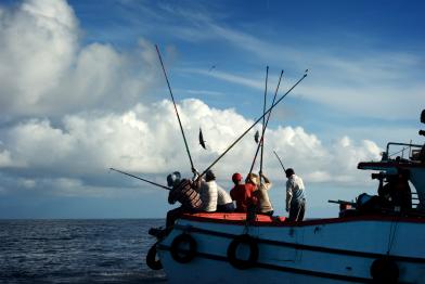 Nachhaltiges Fischen in Taiwan, August 2013