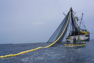 Der Trawler Yu Wen 101 holt sein Netz ein, Pazifik 2004