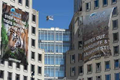 Greenpeace-Aktivisten hängen zwei riesige Banner an die beiden Türme des US-Hauptquartiers von Procter & Gamble mit der Botschaft “Head & Shoulders - setzt das Überleben der Tiger nicht länger aufs Spiel”