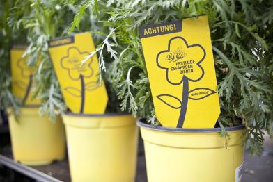 Greenpeace Aktivisten versehen Pflanzen aus Baumärkten mit Etiketten: Achtung bienengefährdende Pestizide! Mai 2014