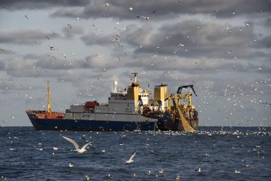 Industrieschiff im Ärmelkanal. Es fängt bis zu 250 Tonnen in einer Viertelstunde. 
