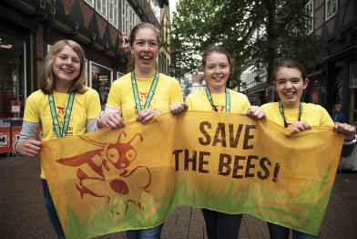 Greenteam Aktionstag für die Bienen, Mai 2015