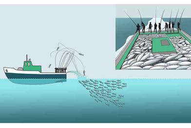 Grafik: „Ruten und Leinen“ (englisch: pole and line)