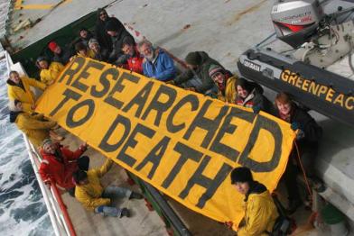 Protest auf der Arctic Sunrise gegen japanischen Walfang, Juni 2006