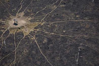 Waldbrände im brasilianischen Regenwald, August 2008