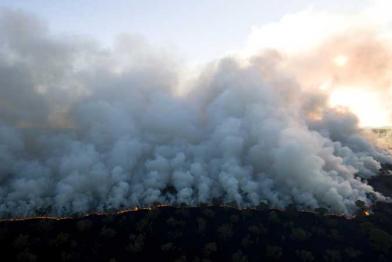 Brandrodung für Rinderzucht in Santa Terezinha (Brasilien) August 2008
