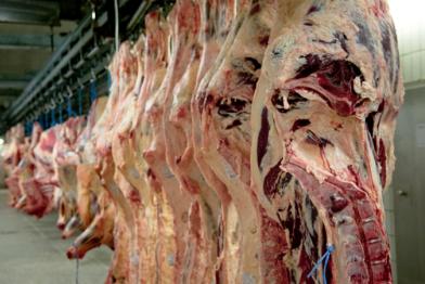 Fleisch-Weiterverarbeitung im Schlachthof 03/14/2011