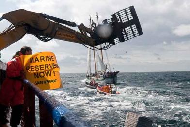 Greenpeace-Aktivisten versenken tonnnenschwere Steine im Kattegat vor der schwedischen Küste, August 2009. 
