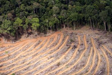 Beweisfotos Juli 2010 07/05/2010