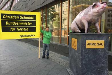 Greenpeace-Aktivisten demonstrieren mit „Mahnmal der armen Sau“ vor dem Bundeslandwirtschaftsministerium.
