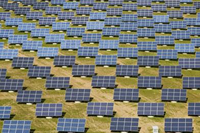 Feld mit hunderten Solarzellen