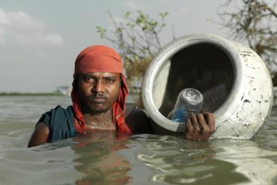 Das Meer verschlingt die Mangrovenwälder 06/16/2009