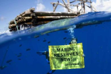 Greenpeace-Taucher unter einem Fischsammler (FAD) im Pazifik im September  2009