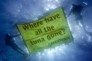 Greenpeace Taucher mit Unterwasserbanner vor den Balearen. Mai 2006