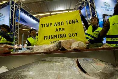 Protest auf der European Seafood Exposition in Brüssel gegen die Überfischung der Thunfischbestände, April 2008 