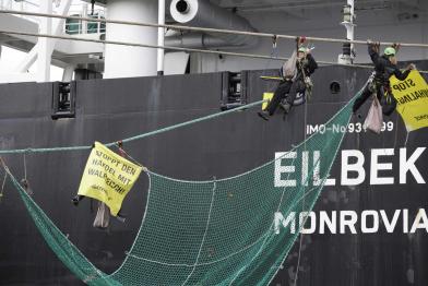 Finnwalfleisch-Protest in Hamburg