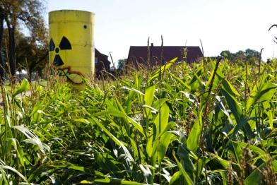 Symbol des Widerstands im Wendland 10/01/2010