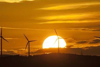 Windräder vor Sonnenuntergang