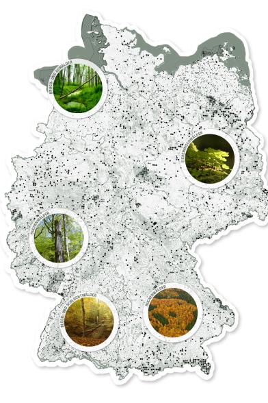 Auf einer Deutschland-Karte sind streng schützenswerte Wälder markiert