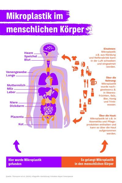 Grafik: Mikroplastik im menschlichen Körper