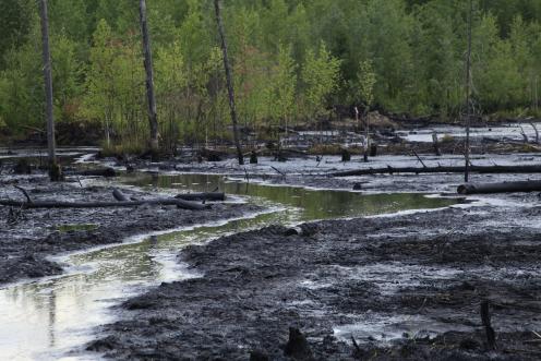 Ein Ölteppich in Westsibirien (Region Surgut) wird während einer Greenpeace-Untersuchungstour entdeckt.