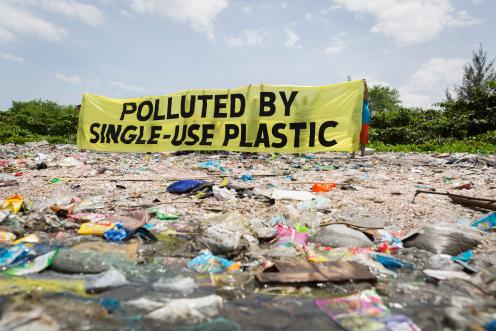 Plastikverschmutzung im Pasig River, Freedom Island und Cavite, Philippinen 