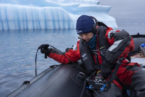 Dr. Kirsten Thompson, leitende Wissenschaftlerin auf der Arctic Sunrise, lauscht mit einem Hydrophon in der Nähe von Eisbergen vor Paulet Island am Eingang des Weddellmeeres nach Walen. Dieses Bild wurde 2020 während der Antarktis-Etappe der Pole-to-Pole-Expedition aufgenommen.
