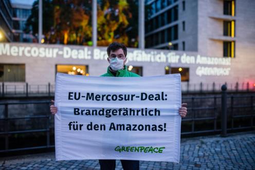 Projektion für mehr Waldschutz am Auswärtigen Amt in Berlin