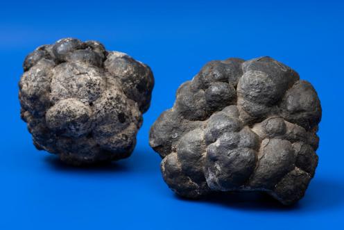 Manganese Nodules - Studio Shoot in Germany