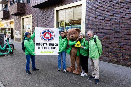 Greenpeace Gruppen kennzeichnen Produkte von Bärenmarke