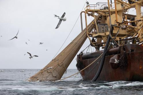 Ein Supertrawler mit Riesennetz auf Fischjagd