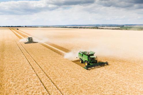 Large Grain Crops in Germany - Aerials