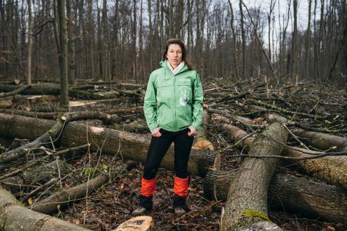 Waldschutzeinheit im Hainich in Thüringen: Ein kleines Greenpeace-Team ist als "Forest Rescue Unit" in verschiedenen Waldgebieten in Deutschland unterwegs.